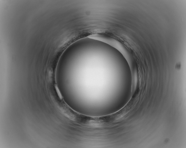 X0000091960556200709131229