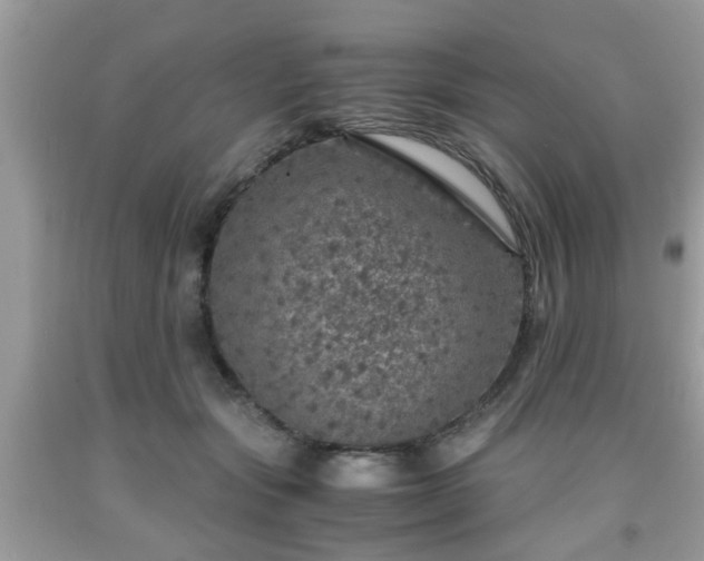 X0000091960557200709131229