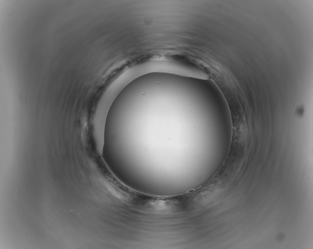 X0000091960558200709131229