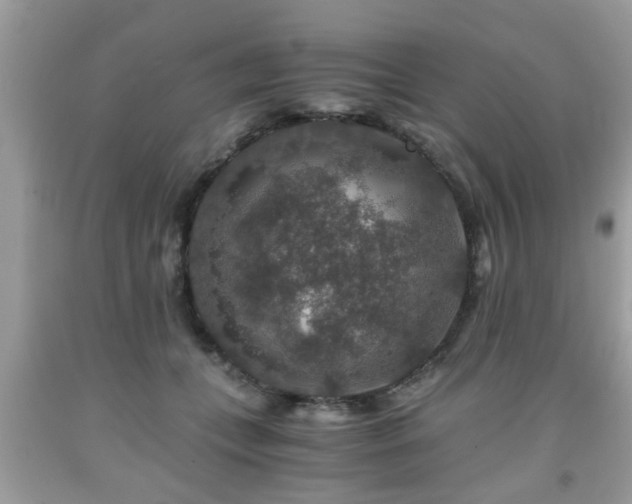 X0000091960559200709131229