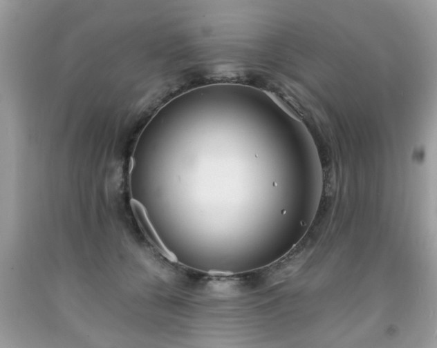 X0000091960560200709131229