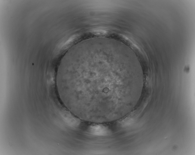 X0000091960561200709131229