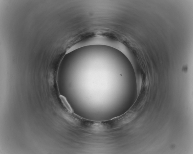 X0000091960562200709131229