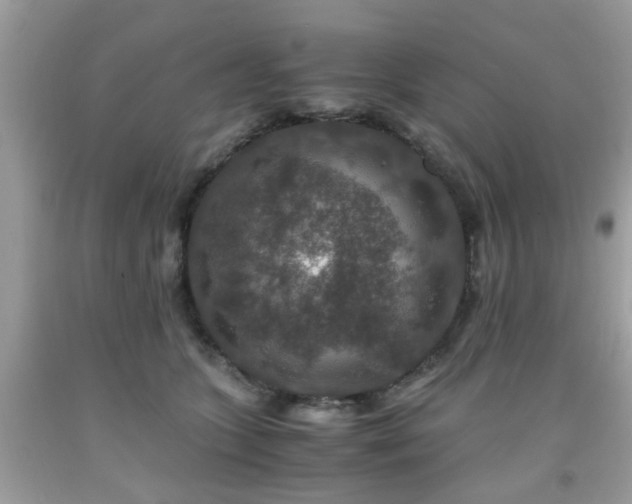 X0000091960563200709131229