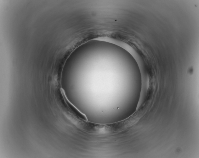 X0000091960564200709131229