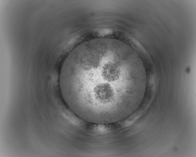 X0000091960565200709131229