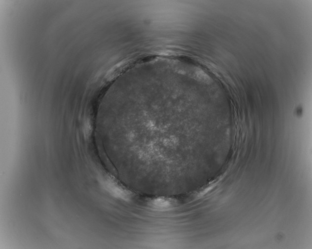 X0000091960566200709131229