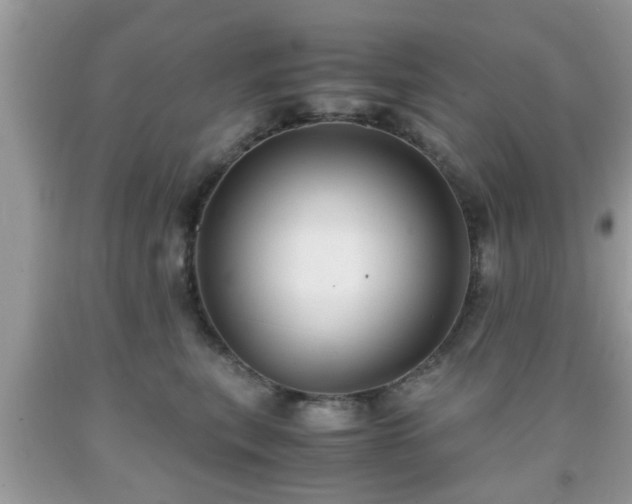 X0000091960567200709131229