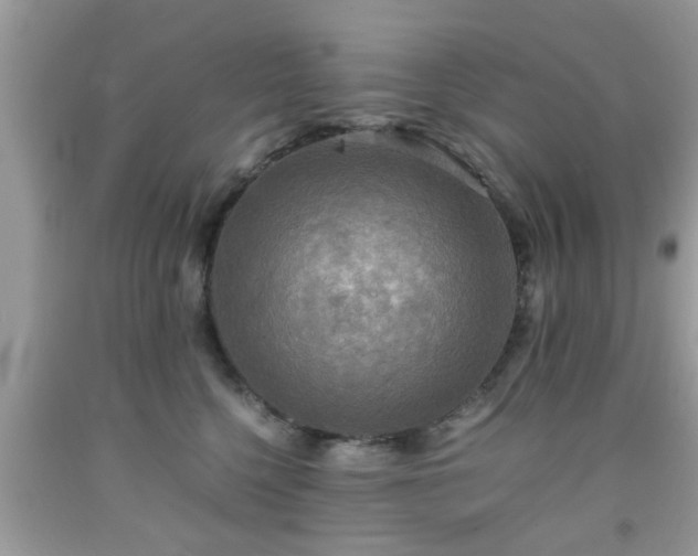 X0000091960568200709131229