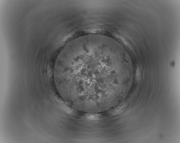 X0000091960569200709131229