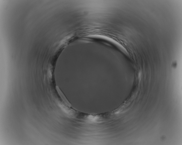 X0000091960570200709131229