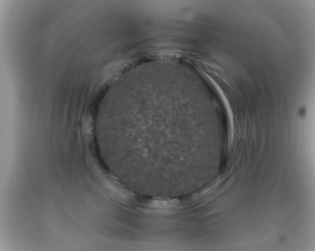 X0000091960571200709131229