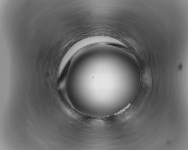 X0000091960572200709131229