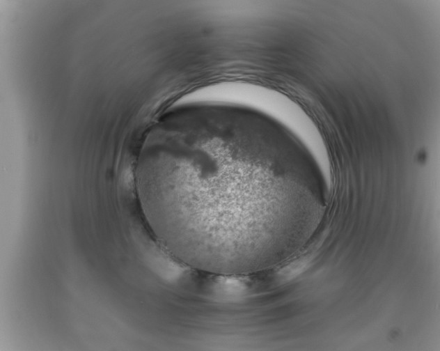 X0000091960573200709131229