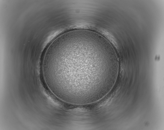 X0000091960578200709131228