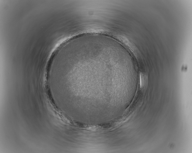 X0000091960579200709131228