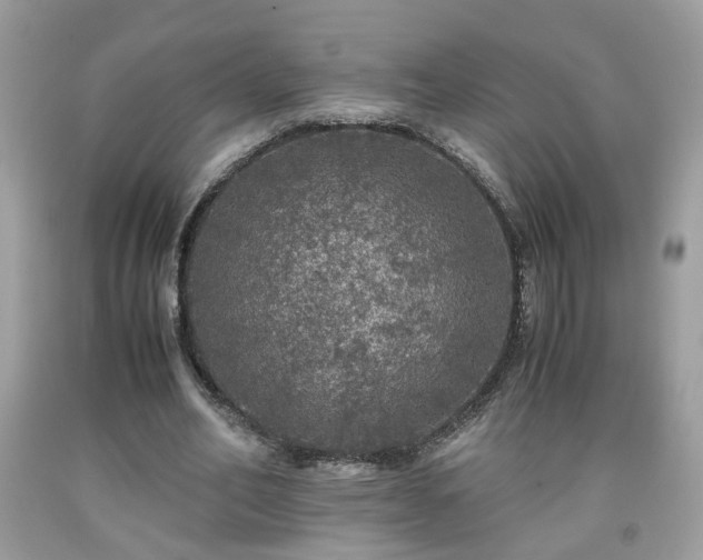 X0000091960582200709131228