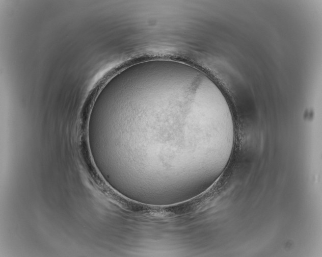 X0000091960583200709131228