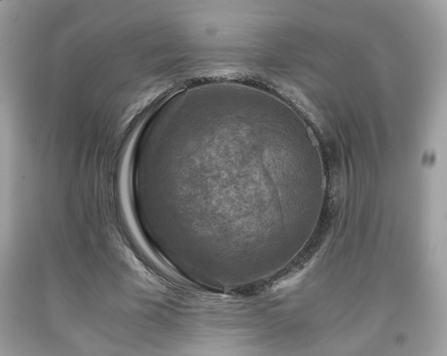 X0000091960585200709131228