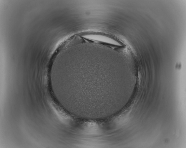 X0000091960588200709131228