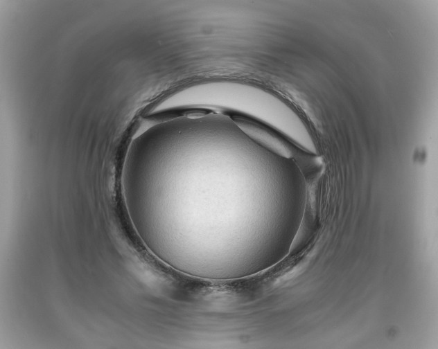 X0000091960589200709131228