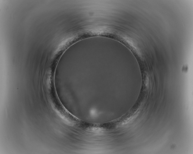 X0000091960590200709131228