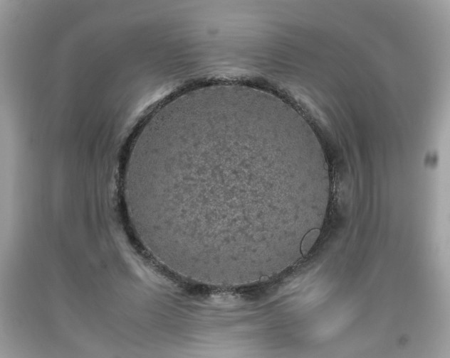 X0000091960591200709131228