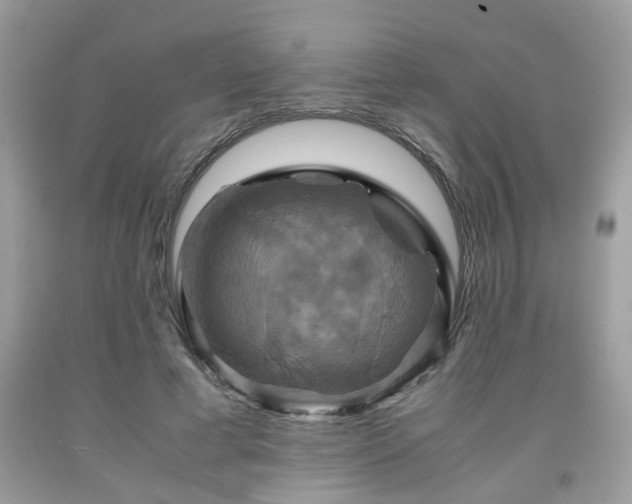 X0000091960593200709131228