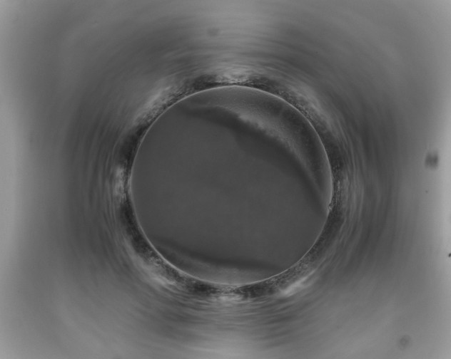 X0000091960598200709131228