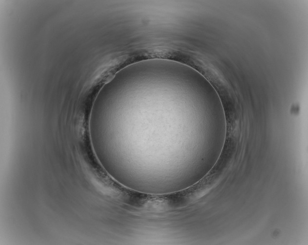 X0000091960599200709131228