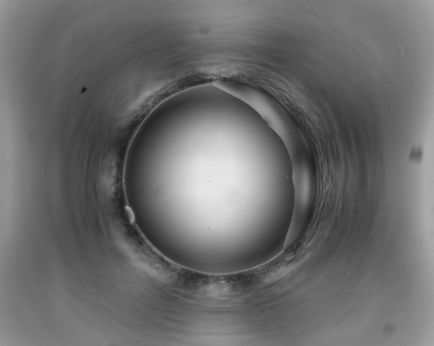 X0000091960600200709131228