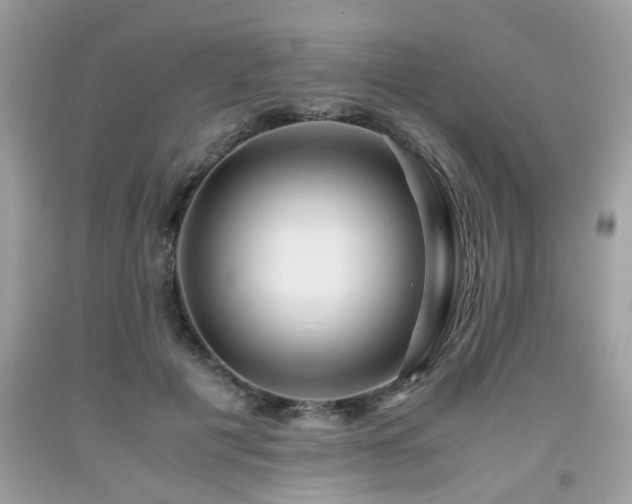 X0000091960601200709131228