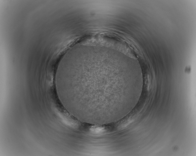 X0000091960602200709131228