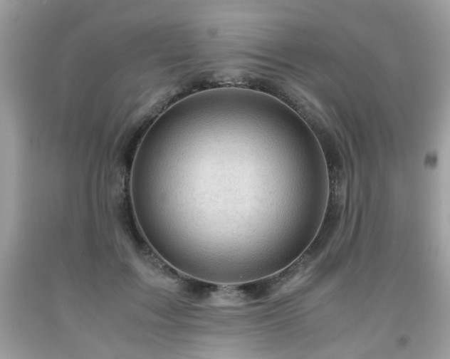 X0000091960603200709131228