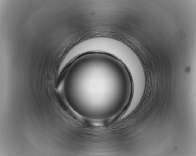 X0000091960604200709131228