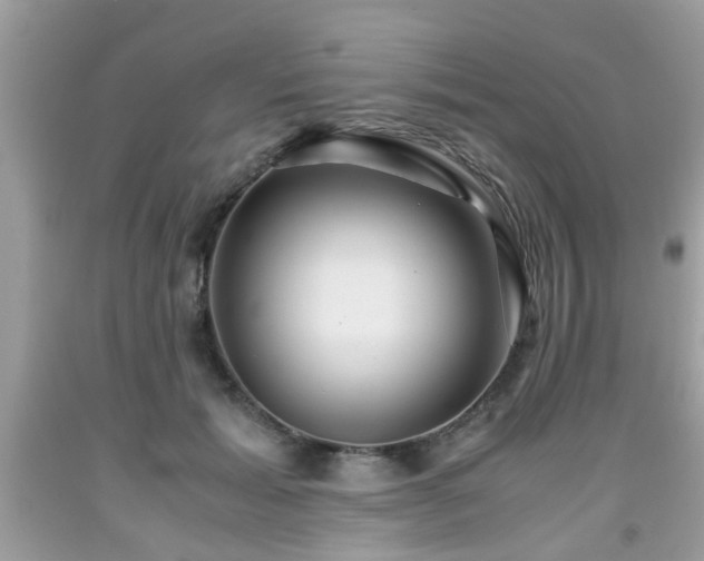 X0000091960605200709131228