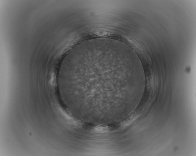 X0000091960606200709131228