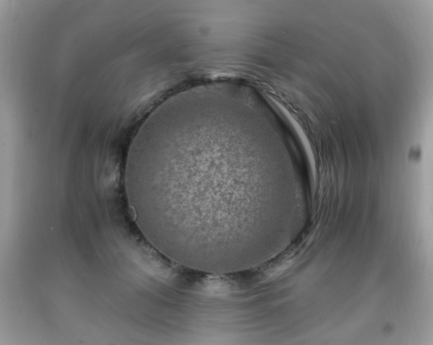 X0000091960608200709131228