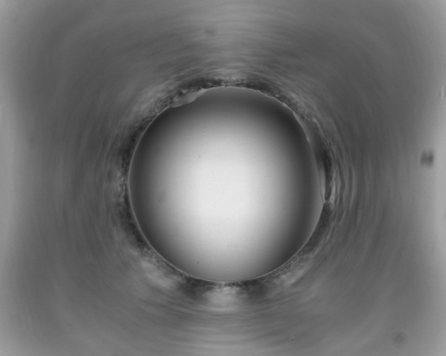 X0000091960609200709131228