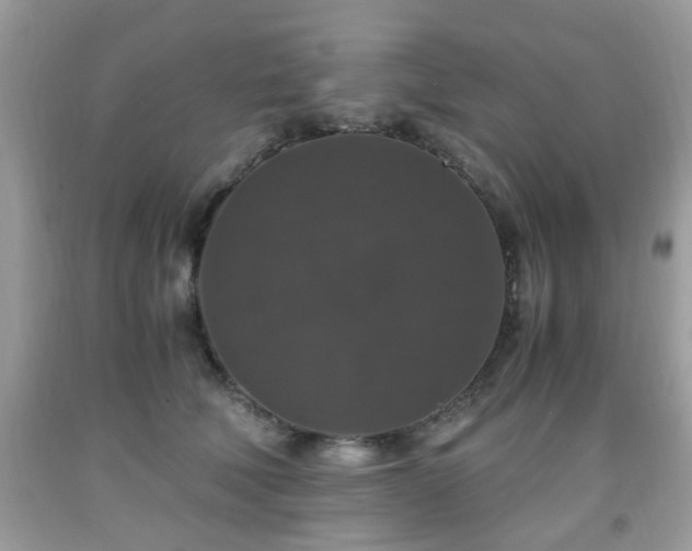 X0000091960610200709131228