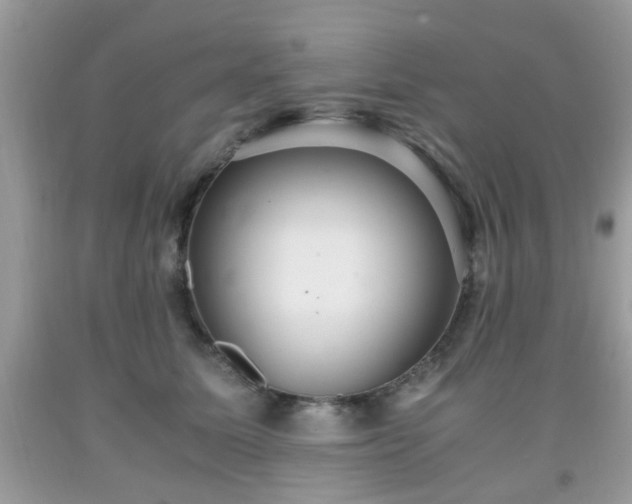 X0000091960611200709131228