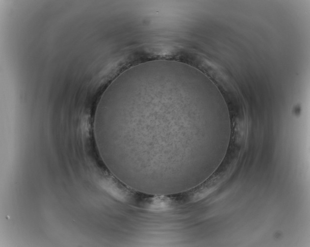 X0000091960612200709131228