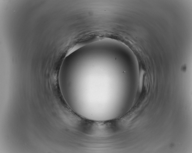 X0000091960613200709131228