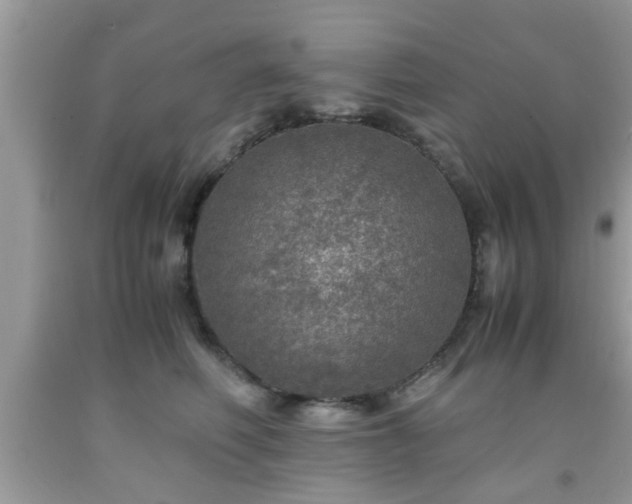 X0000091960614200709131228