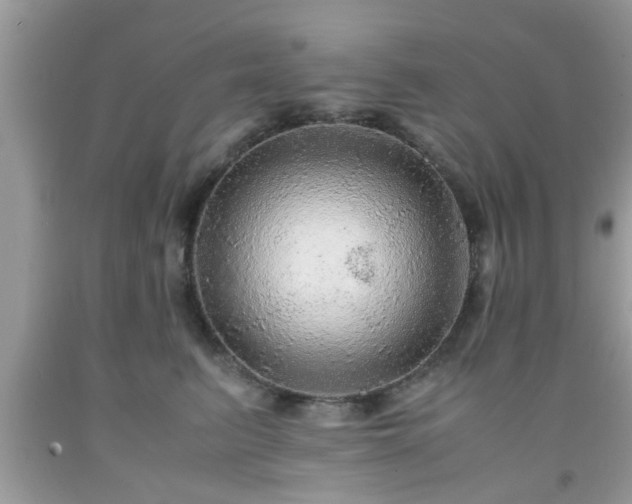 X0000091960615200709131228