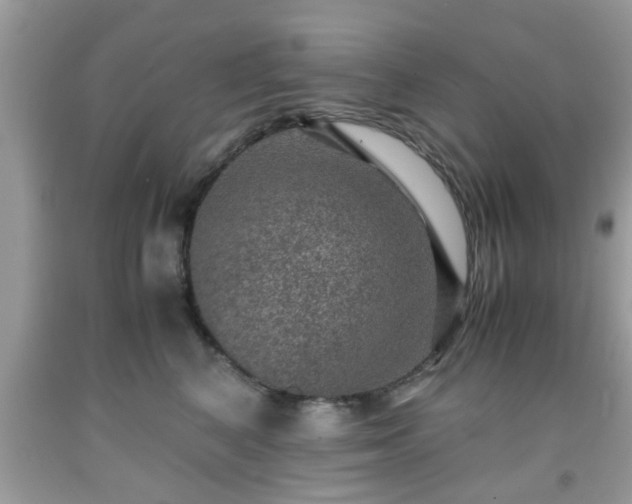 X0000091960616200709131228