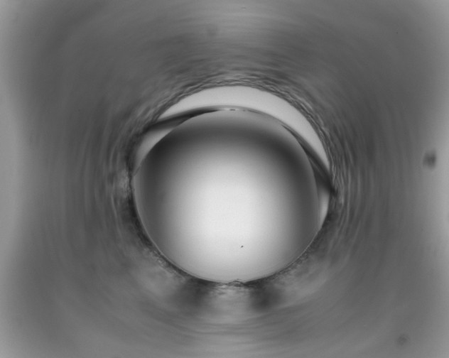 X0000091960617200709131228