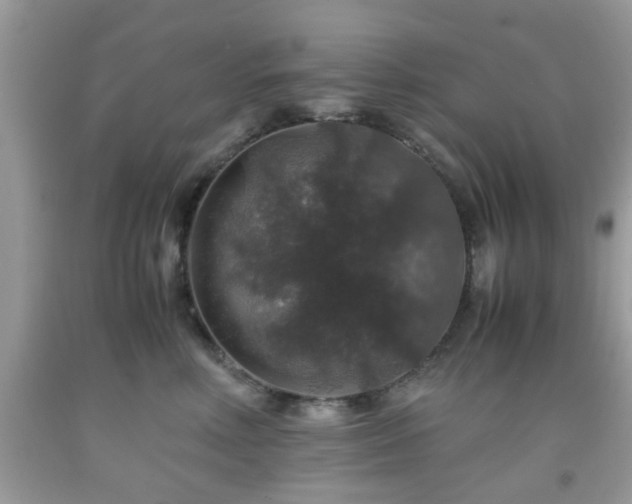 X0000091960618200709131228