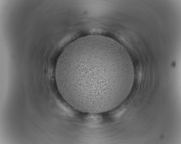 X0000091960619200709131228