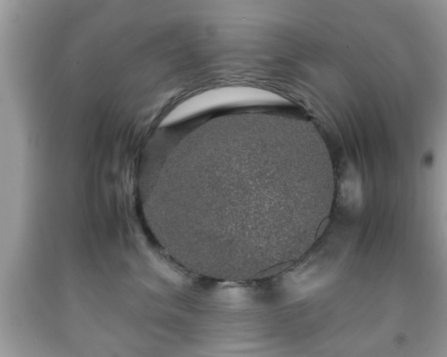 X0000091960620200709131228